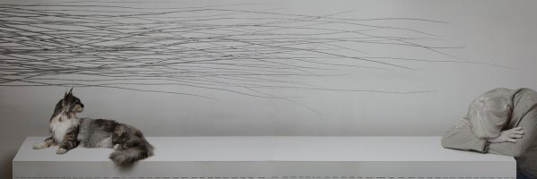 Grzegorz Przyborek - Cisza