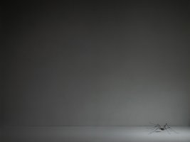 Grzegorz Przyborek - Cisza