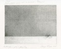 Grzegorz Przyborek - Cisza