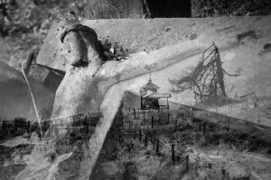 Alicja Przybyszowska - Prześwietlenia