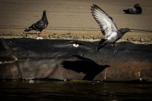 Plenerowe Spotkania Dokumentalne PSD 2025