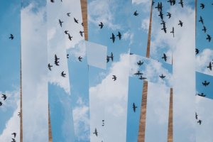 Paweł Żak - Jest i nie jest