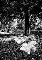 Rafał Kalinowski - Rafalski Pictorial