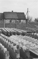 Fabryka złudzeń. Fotografie Danuty Rago