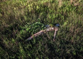 Magda Hueckel - Organic