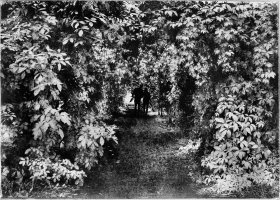 Robert Pranagal - Memu Miastu