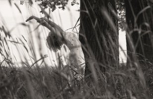 Tadeusz Rolke - Rolke