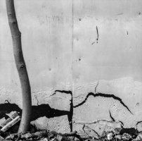 Anna Hauser - Zagardlenie