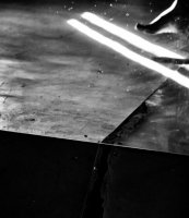 Anna Hauser - Zagardlenie