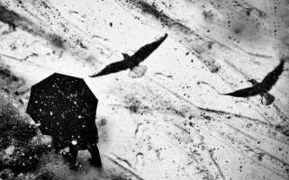 Anna Hauser - Zagardlenie