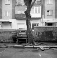 Artur Rychlicki - Ogrody szczęśliwości