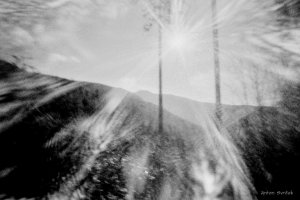 Anton Svrček - Opowieści z gałęzi