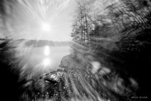 Anton Svrček - Opowieści z gałęzi