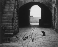 Stefan Arczyński (1916-2022)