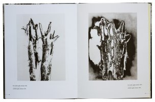 Aleksander Salij - Inny obraz świata