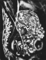 Bronisław Schlabs (1920 - 2009)