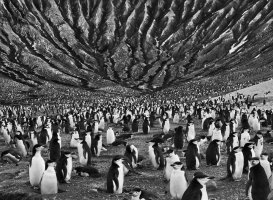 Sebastiao Salgado (1944-2025)