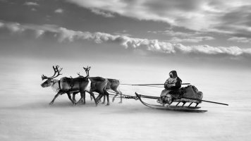 Sebastiao Salgado (1944-2025)