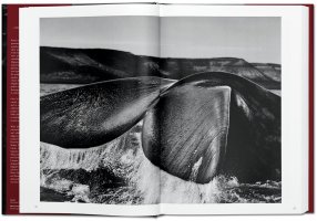Sebastião Salgado - Genesis