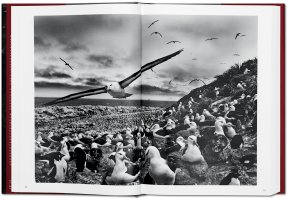 Sebastião Salgado - Genesis