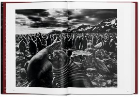 Sebastião Salgado - Genesis