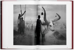 Sebastião Salgado - Genesis