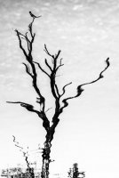 Monika Gawinowska - Sen od pierwszego wejrzenia