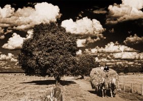 Wiktor Wołkow (1942 - 2012)