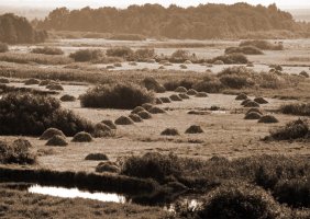 Wiktor Wołkow (1942 - 2012)