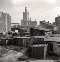 Zbyszko Siemaszko (1925-2015)