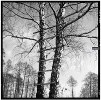 Stanisław Kulawiak - Portfolio. Fotografie z lat 1974-2022