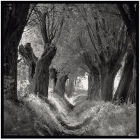 Stanisław Kulawiak - Portfolio. Fotografie z lat 1974-2022