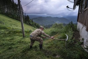 Fotografia - Małgorzata Smieszek