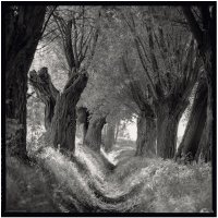 Stanisław Kulawiak - Portfolio. Kody asymetryczne 1976-2021