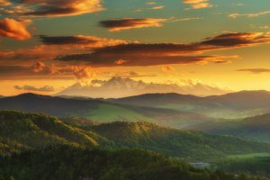 Michał Sośnicki - Krajobraz światłem malowany