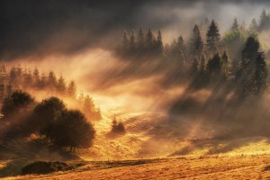 Michał Sośnicki - Krajobraz światłem malowany