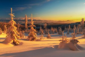 Michał Sośnicki - Krajobraz światłem malowany