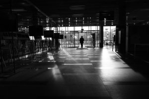 Aleksander Orszulik - Symbioza