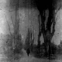 fot. Jacek Sołkiewicz