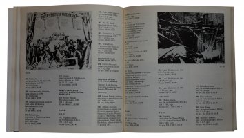 Sztuka fotografii. Portret, pejzaż, reportaż w fotografii polskiej XIX wieku