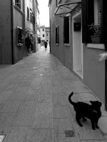 Timm Stütz - 80 lat / 80 zdjęć. Fotografie do prze-myślenia