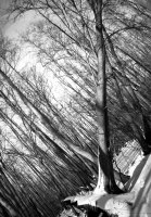 Timm Stütz - 80 lat / 80 zdjęć. Fotografie do prze-myślenia