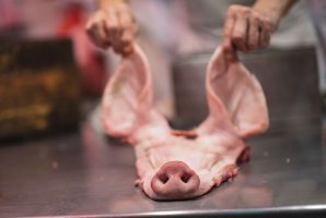 Thomas Kast - Świat w trzech odsłonach