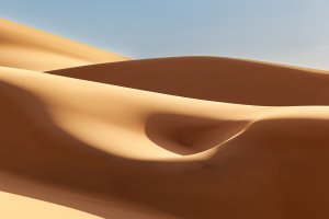 fot. Leszek Wybraniec