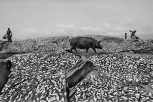 Tomasz Tomaszewski - Świat jest tam, gdzie się zatrzymałeś