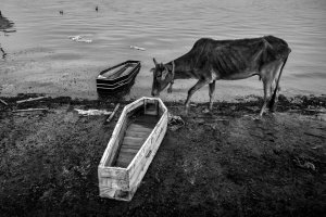 Tomasz Tomaszewski - Świat jest tam, gdzie się zatrzymałeś