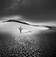 Vassilis Tangoulis