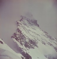 fot. Wanda Rutkiewicz