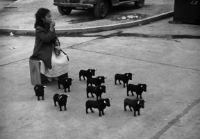 Werner Bischof (1916-1954)