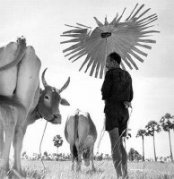 Werner Bischof (1916-1954)